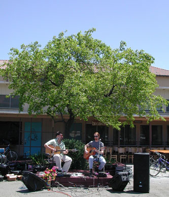 nick and chris playing live